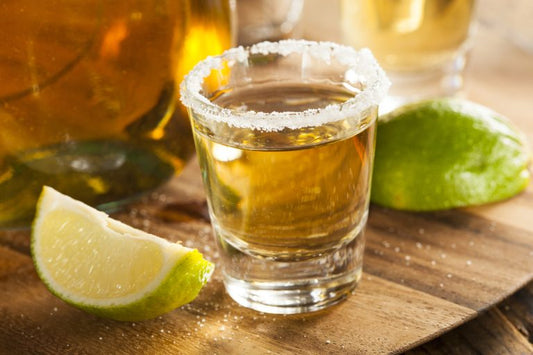 hornitos tequila in shot glass with salt surrounded by lime slices
