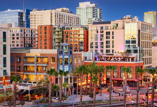 san diego cityscape waterfront with palm trees and a clear blue sky