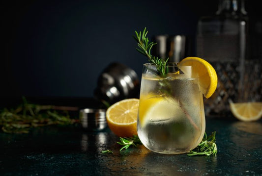 engine gin and tonic with lemon wedge in glass by sliced lemons