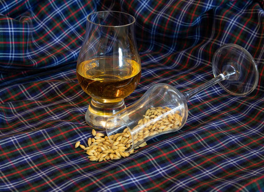 glass of malt liquor next to glass of barley on checkered tablecloth