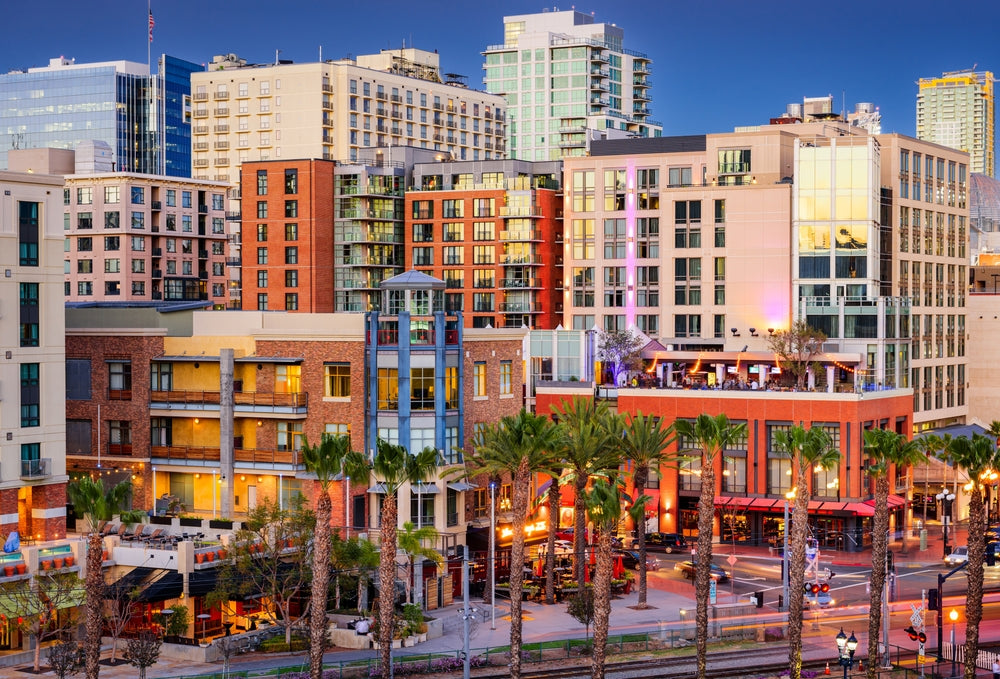  san diego cityscape waterfront with palm trees and a clear blue sky